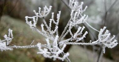 Java nis me shi dhe stuhi/ IGJEUM: Ulen temperaturat në mesjavë, shiu i lë vendin borës
