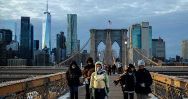 Stuhia dimërore/ Disa shtete të Amerikës shpallin gjendje emergjente