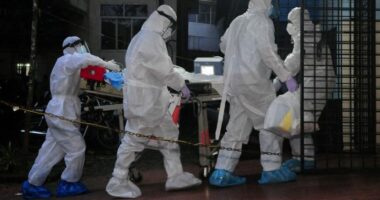 Vdekshmëria mbi 50% dhe mund të përdoret si agjent bioterrorizmi, çfarë duhet të dini për virusin Nipah