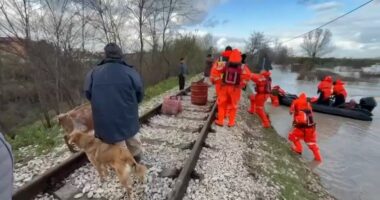 Tërbohet Vjosa, përmbytet Novosela/ Nuk pranonin të evakuoheshin, Policia nxjerr nga banesa dy të moshuarit