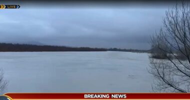 ‘Tërbohet’ Vjosa, kërkohet evakuim i menjëhershëm i banorëve në Novoselë