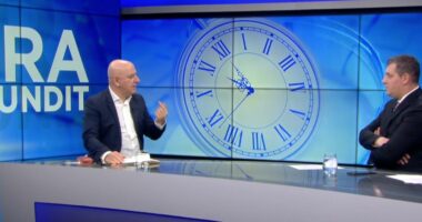 “Berisha kërkon të fashisë lëvizjen e Salianjit”, Bejko: Teza e bashkimit të opozitës, kurth për partitë e vogla!