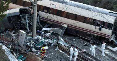 Përplasja vdekjeprurëse e trenave në Spanjë: Hetimi zbulon defekt në shina