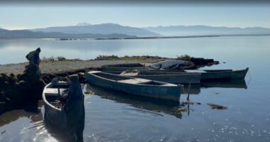 Jeta mes ujit dhe rrjetave/ Historia e dy vëllezërve peshkatarë në lagunën e Nartës