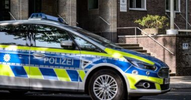 Të shtëna me armë zjarri në Berlin/ Pesë të plagosur, dy në gjendje kritike