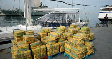 Sekuestrohen 9 ton kokainë në Portugali, sasi rekord për historinë e vendit