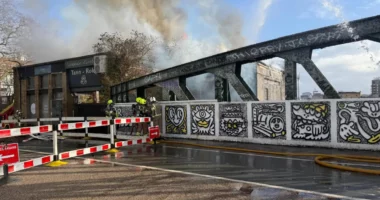 VIDEO/ Zjarri pranë linjës hekurudhore në Londër, vonesa dhe anulim të shërbimeve