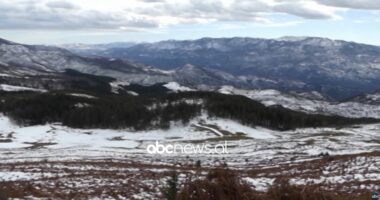 Një jetë në shërbim të pyllit/ Në moshën 70-vjeçare, Bashkim Koçi mbetet figurë kyçe e mbrojtjes së natyrës