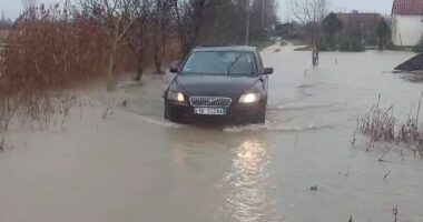 VIDEO/ Reshje të dendura shiu në Kurbin, hektarë tokë bujqësore nën ujë, ndërpritet mësimin në Fushë Mamurras