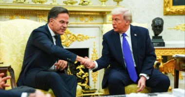 Debati për Groenlandën dhe tarifat amerikane, Rutte dhe Trump zhvillojnë bisedë telefonike