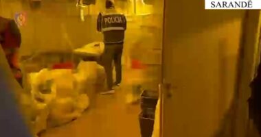 Zbulohen dy ‘shtëpi bari’ në Sarandë/ Në pranga administratori i pallatit, në kërkim 4 të tjerë. Ja çfarë u gjet në banesa…