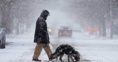 Acari mbërthen SHBA/ I ftohti ekstrem godet 18 shtete, termometri -40 gradë celsius