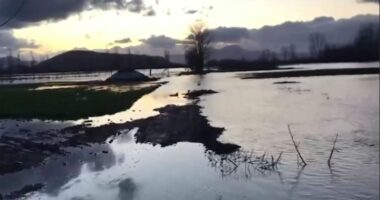 Përmbytje në Obot/ Shkodër, fryhen Buna dhe Drini, 500 hektarë tokë nën ujë