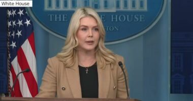 Protestat/ Shtëpia e Bardhë: Irani ka pezulluar 800 ekzekutime të planifikuara