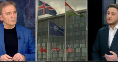 “BE është përballë shumë sfidave”/ Softa: Groenlanda nxori në pah krizën mes SHBA dhe Evropës!