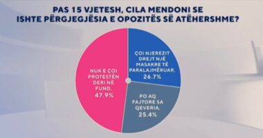 Sondazhi/ Pas 15 vjetësh, cila mendoni se ishte përgjegjësia e opozitës së atëhershme? Ja si përgjigjen shqiptarët