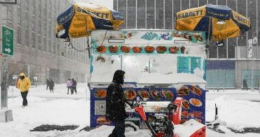 Stuhia në SHBA, 18 viktima/ Borë e ngrica, anulohen mijëra fluturime