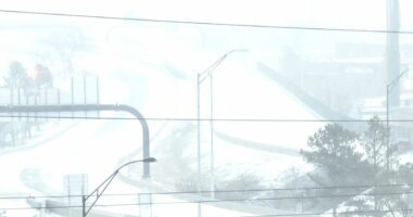 Stuhia historike në SHBA/ 217 mijë banorë pa energji dhe mbi 4 mijë fluturime të anuluara