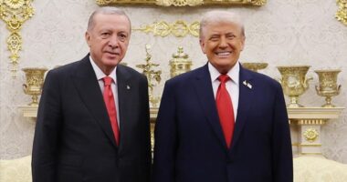Trump-Erdogan bisedë telefonike, ja çfarë diskutuan dy liderët