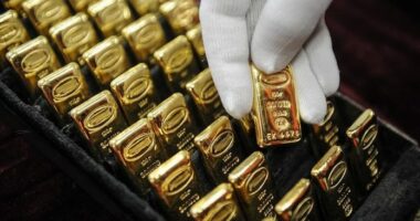 SHBA, çmimi i arit bie mbi 10 për qind