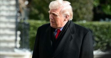 Presidenti Trump: Jemi shumë afër arritjes së një marrëveshjeje Ukrainë-Rusi