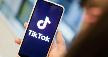 Rritet numri i amerikanëve që heqin dorë nga TikTok