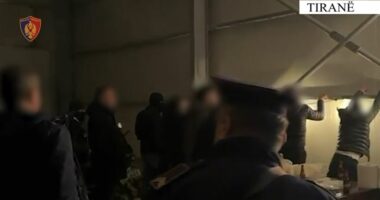 I morën një shtetasi 40 mijë euro përmes mashtrimit/ Tiranë, pranga 3 personave, dy të tjerë në kërkim