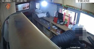 Tiranë/ Ndalohen 5 persona, në kërkim për vjedhje, falsifikim e dhunë në familje