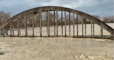 Vjosa del sërish nga shtrati/ Përmbytet Pazari i Vjetër, punohet për riparimin e argjinaturave