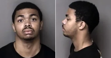 Një 18-vjeçar dyshohet se kishte planifikuar vrasje natën e Vitit të Ri, FBI njofton se ka parandaluar një sulm të ISIS