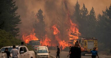 Zjarret në pyjet e Argjentinës, shpallet gjendje e jashtëzakonshme në Patagoni