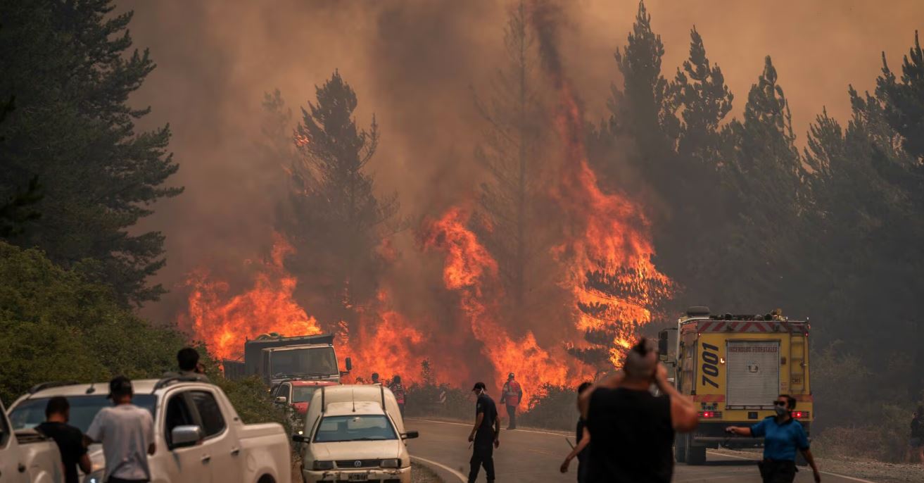 Zjarret në pyjet e Argjentinës  shpallet gjendje e jashtëzakonshme në Patagoni
