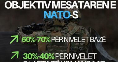 Forcat e Armatosura drejt standardeve të NATO-s, rritje pagash deri në 70% për nivelet bazë