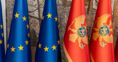 Analiza e REL: “Pingpongu” institucional në Mal të Zi ngadalëson rrugën evropiane