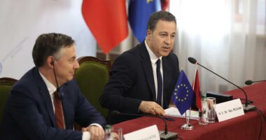 Delegacioni i Komisionit të Jashtëm të Parlamentit Europian në Kuvend/ Peleshi: Anëtarësimi në BE mbetet prioritet kombëtar