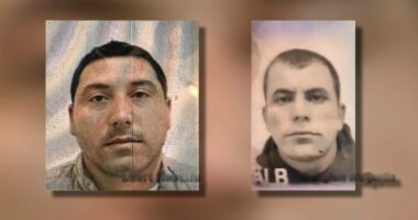 Porositi vrasjen e kushëririt/ Si nisi konflikti për pronën që futi në gjakmarrje kushërinjtë në Lushnjë