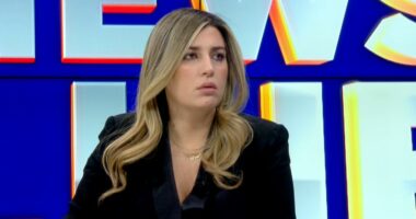 Protesta blu, “Të miturve iu rrezikua jeta, u përdorën nga PD”/ Gjyli: Protesta nuk dha rezultat, s’kanë besueshmëri