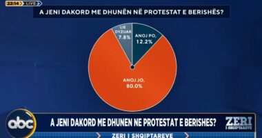 Sondazhi: Shqiptarët kundër dhunës në protestat e Berishës