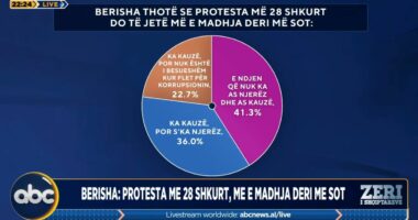 Protesta e 28 shkurtit/ Sondazhi: Berisha nuk ka njerëz dhe as kauzë