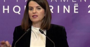 Mbrojtja e territorit/ Koçiu: Kemi evidentuar 252 subjekte në shkelje, 12 milionë euro gjoba për abuzime me ndërtimet