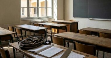 Francë, një 14-vjeçar godet me thikë mësuesen