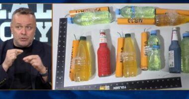 Aktet e dhunshme në protestën e PD-së/ Karamuço: Po hetohet burimi i bombave artizanale, dyshohet se erdhën nga…