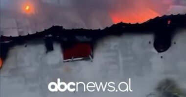 VIDEO/ Stalla përfshihet nga flakët në Vlorë, digjen 22 lopë e viça