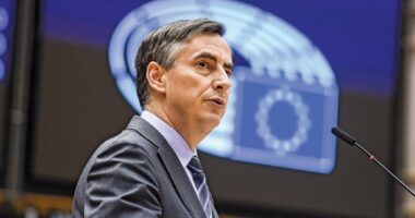 Parlamenti Europian zbret në Tiranë/ Delegacioni i eurodeputetëve, takime për integrimin në BE