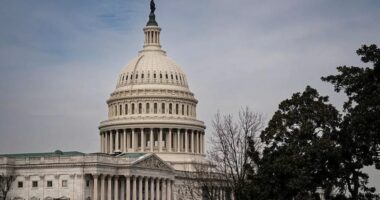 Dhoma e Përfaqësuesve e SHBA voton për të rrëzuar tarifat e Trump ndaj Kanadasë