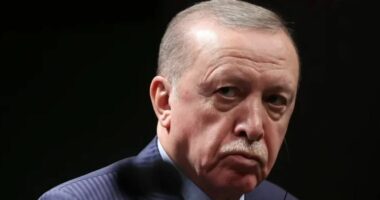 Erdogan: Turqia po bën çmos për të parandaluar konfliktin SHBA-Iran