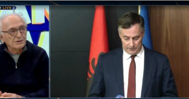 PE shmang Berishën/ Çupi: “Non grata” edhe në BE, nuk e njohin si udhëheqës të PD