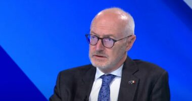 Ambasadori francez: Zgjedhja e presidentit, përgjegjësi e partive politike në Kosovë