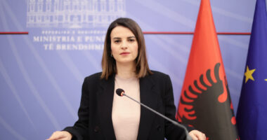 Protesta/ Koçiu: Berisha një dhunues përsëritës i sulmeve ndaj institucioneve. Dhunuesit e policëve do përballen me ligjin!