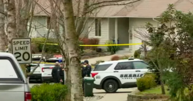 Sulm me thikë në Washington, pesë të vdekur